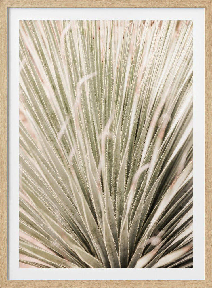 Spiky Serenity | Poster