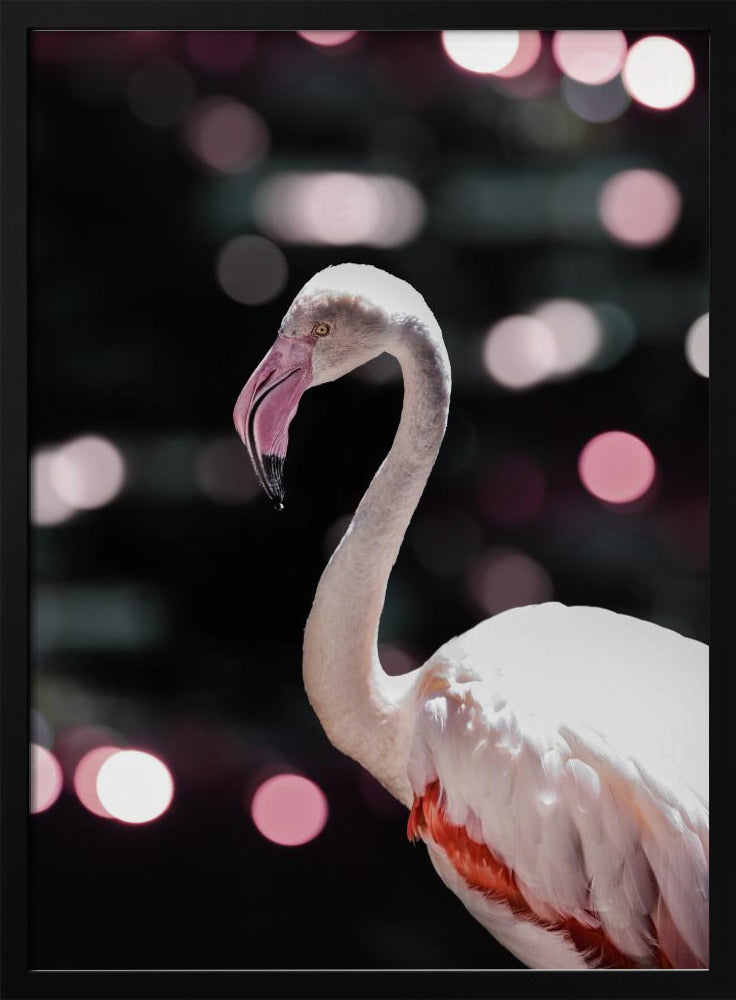 Flamingo Elegance | Poster