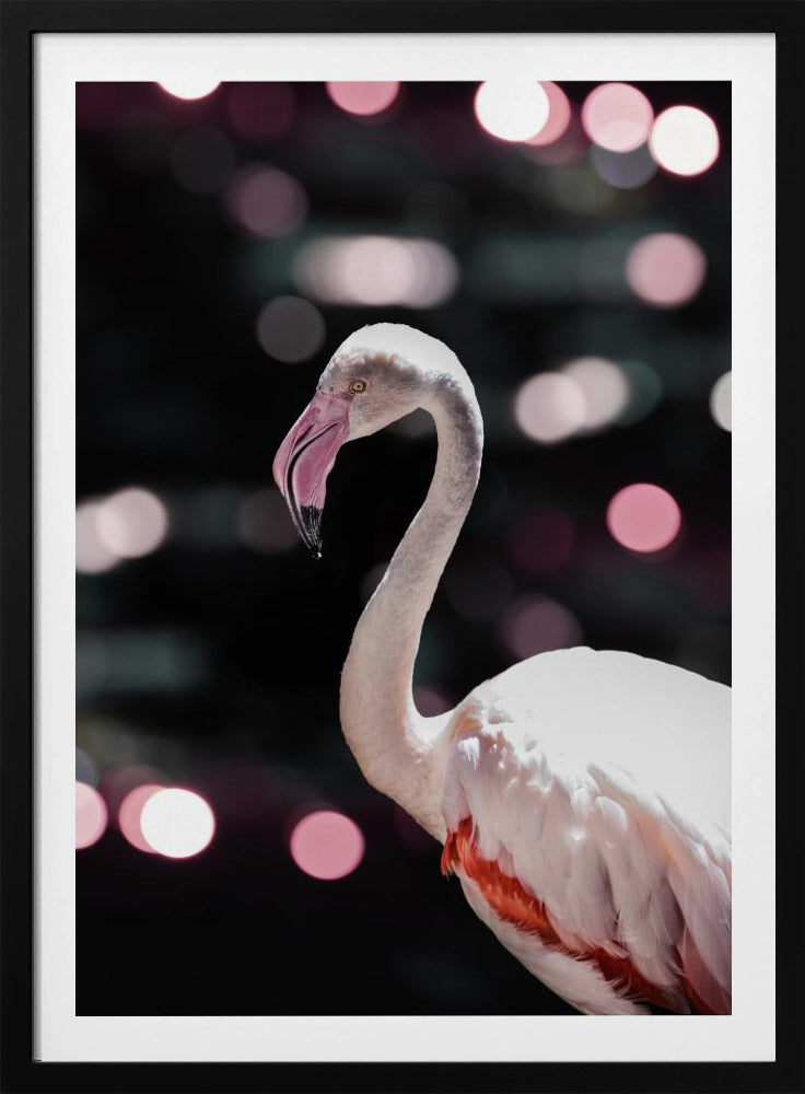 Flamingo Elegance | Poster