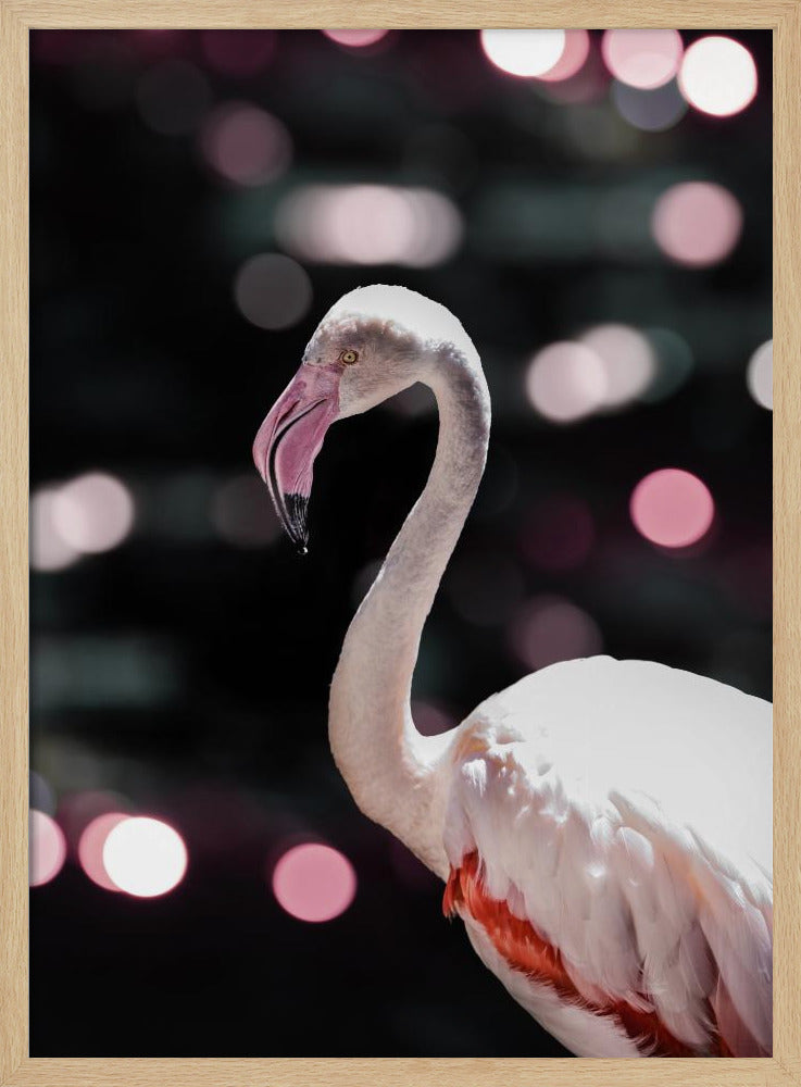 Flamingo Elegance | Poster