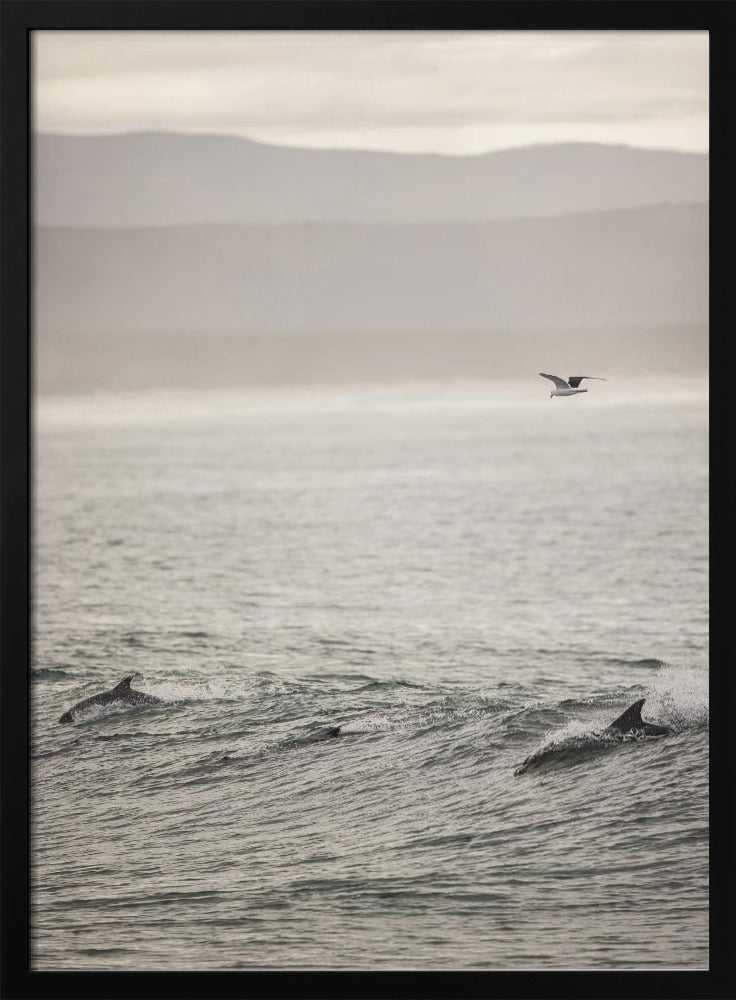 Ocean&#039;s Dance | Poster