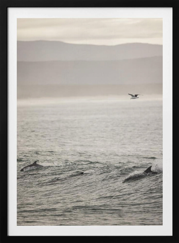 Ocean&#039;s Dance | Poster