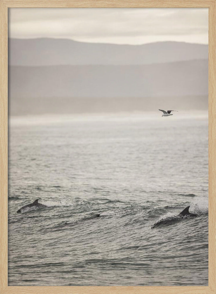 Ocean&#039;s Dance | Poster