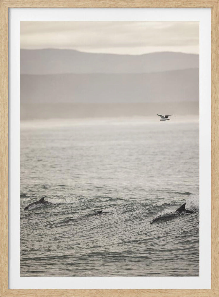 Ocean&#039;s Dance | Poster