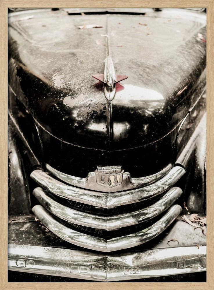 Vintage Elegance | Poster