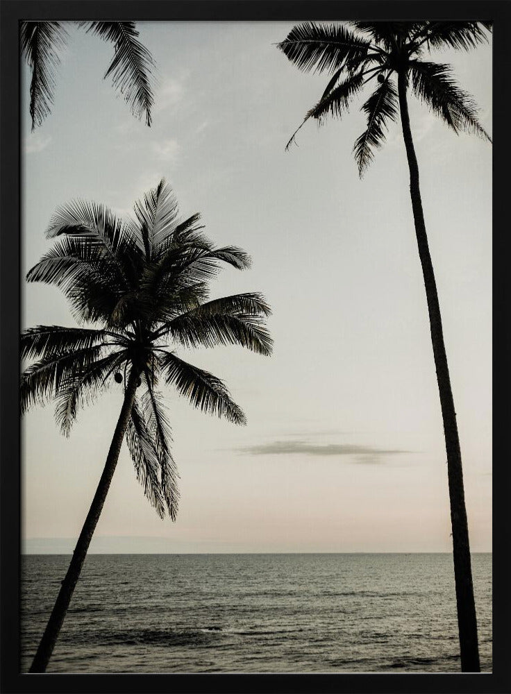 Tropical Dusk Sky | Poster