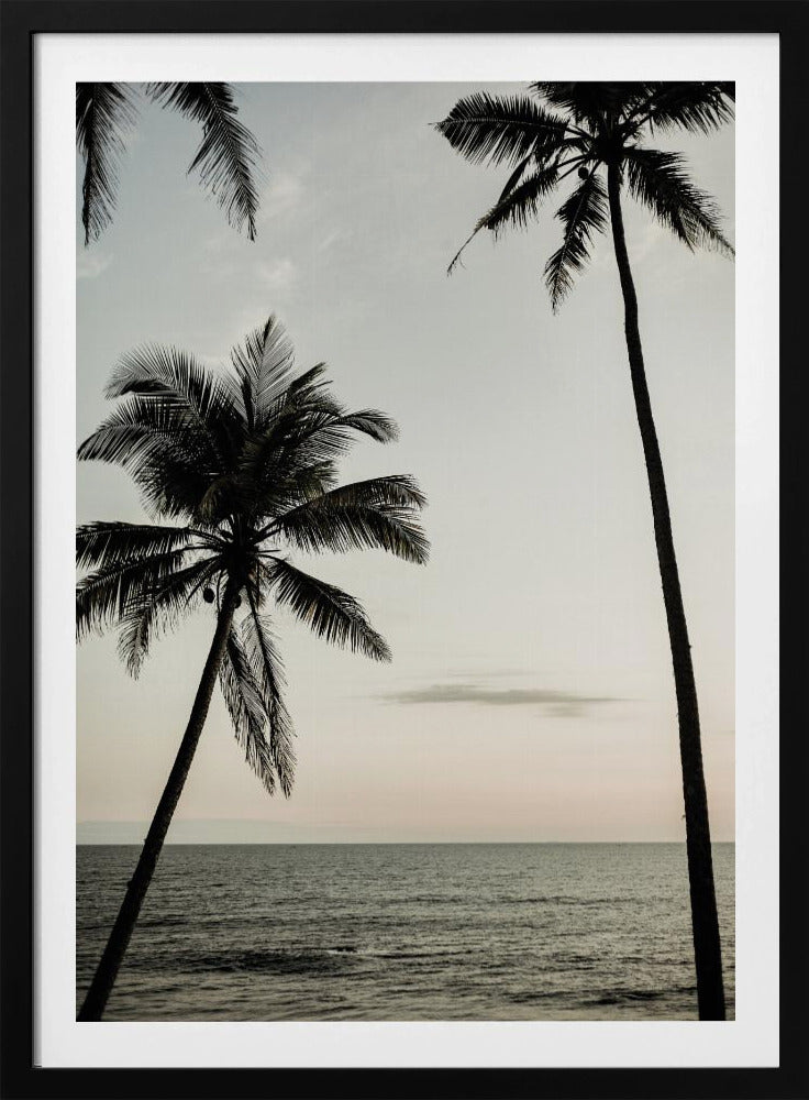 Tropical Dusk Sky | Poster