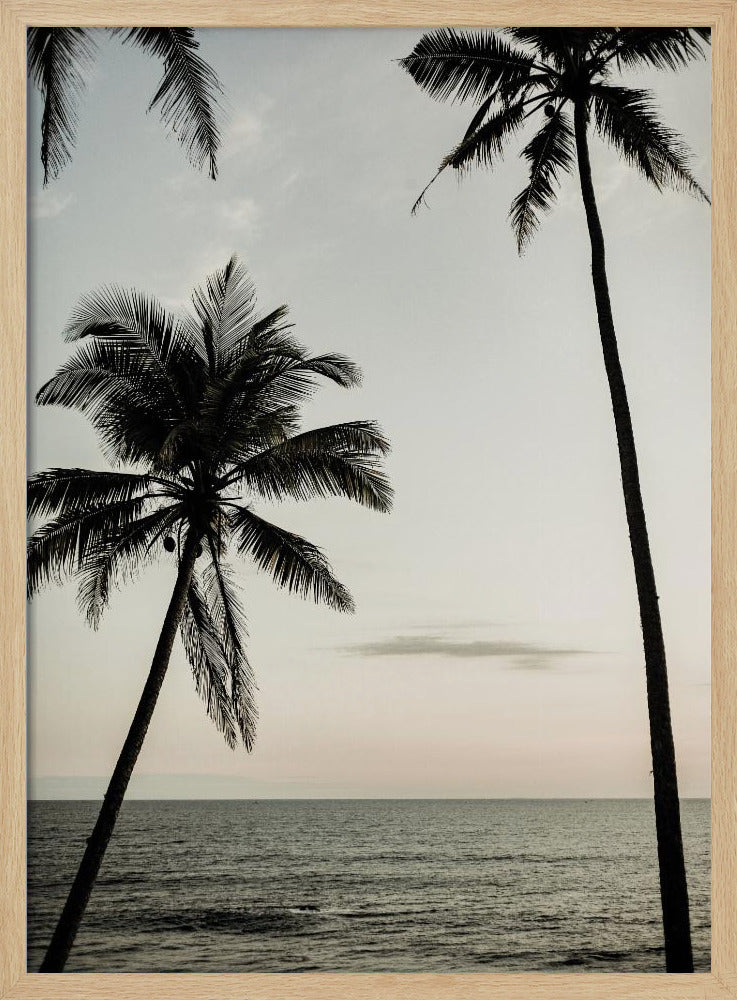 Tropical Dusk Sky | Poster