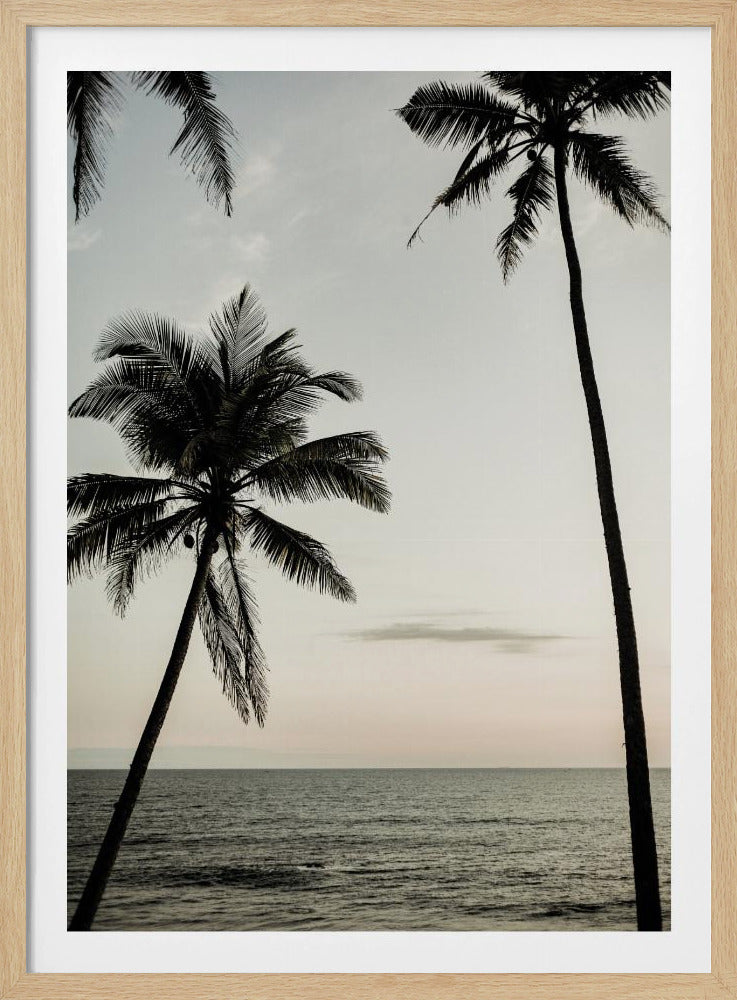 Tropical Dusk Sky | Poster