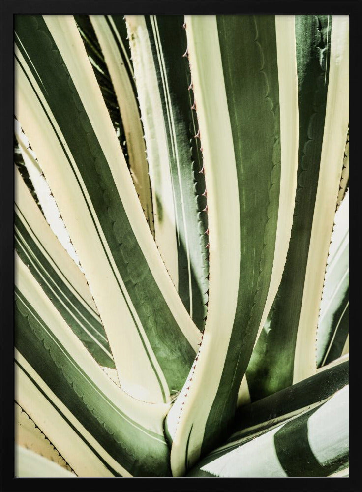 Succulent Symphony | Poster