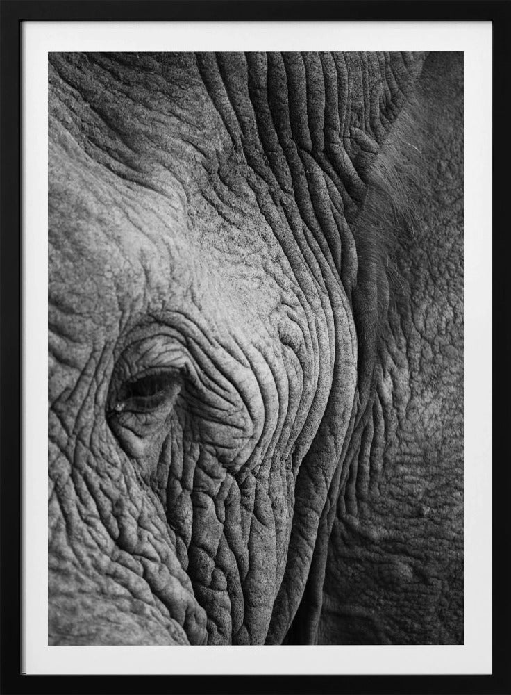 Wisdom&#039;s Wrinkles | Poster