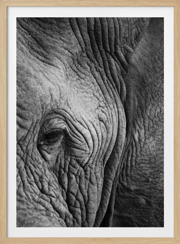 Wisdom&#039;s Wrinkles | Poster