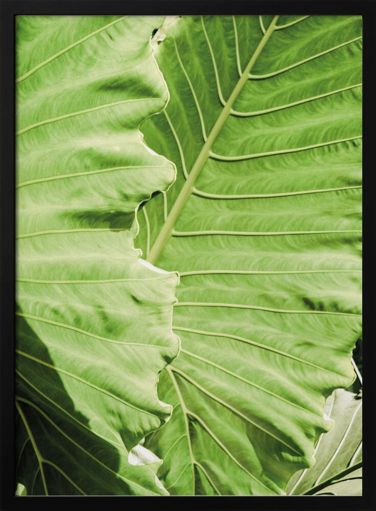 Verdant Waves | Poster