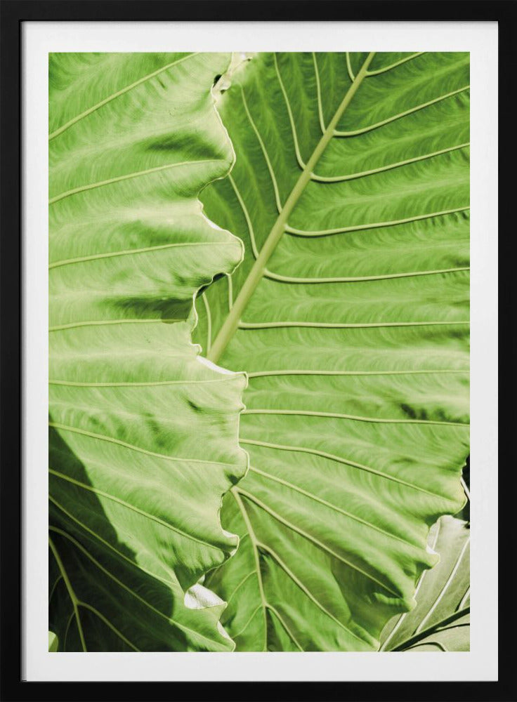 Verdant Waves | Poster