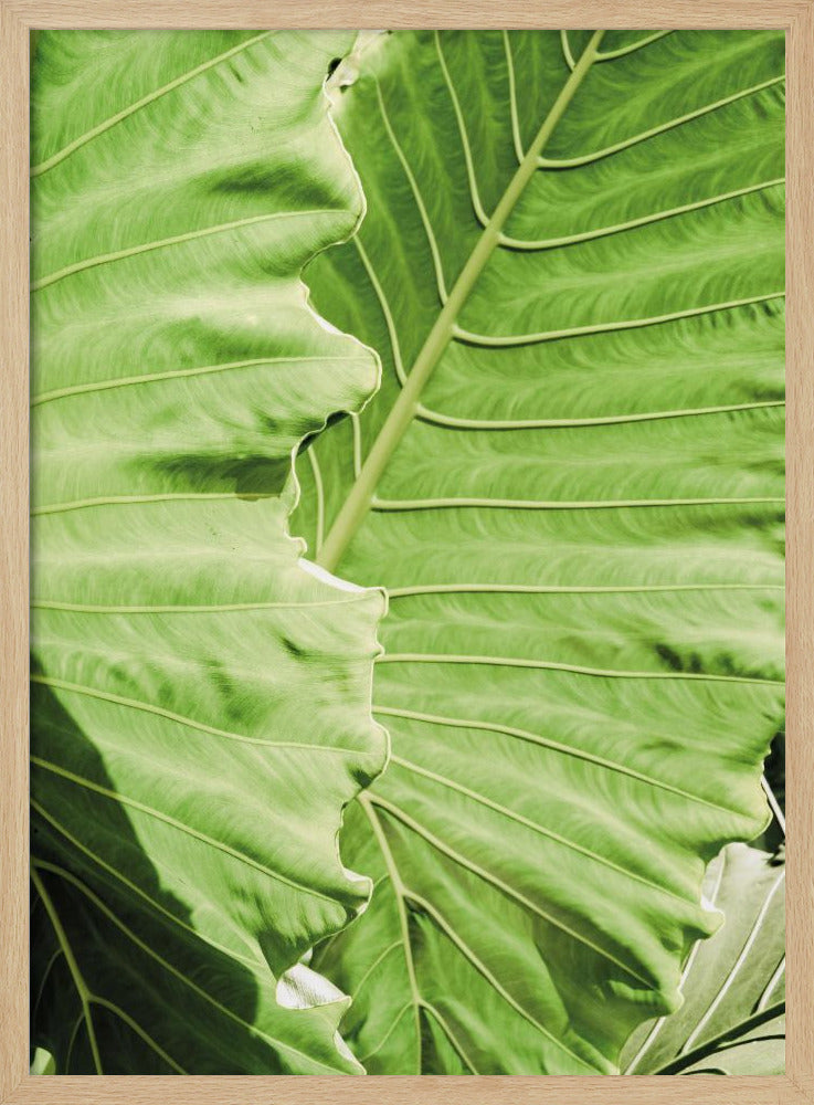 Verdant Waves | Poster