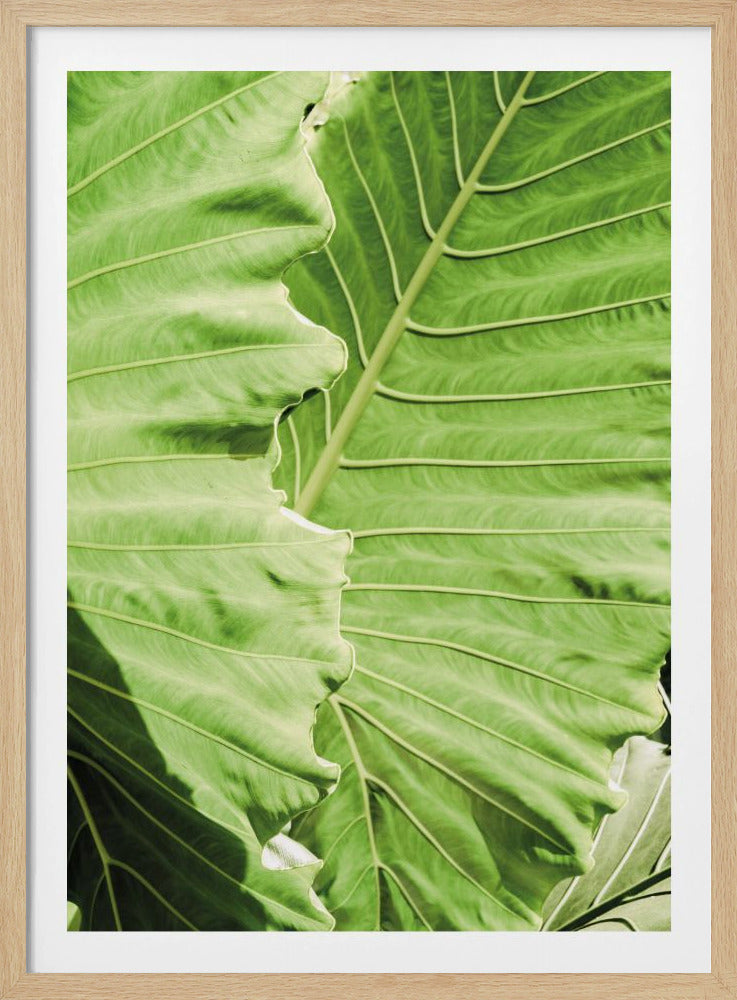 Verdant Waves | Poster