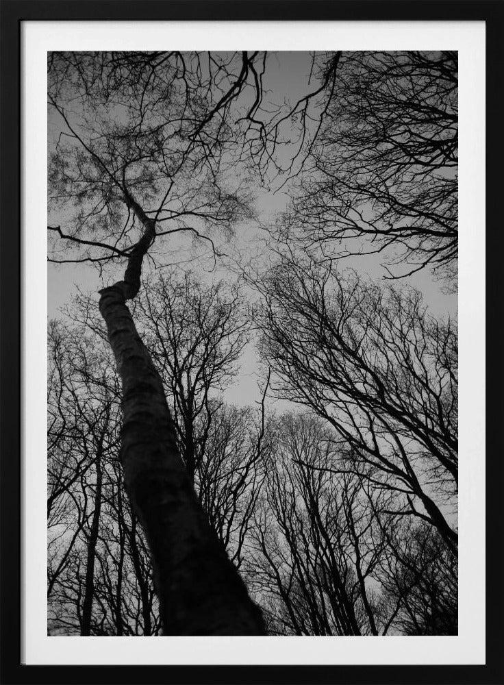 Winter&#039;s Reach | Poster