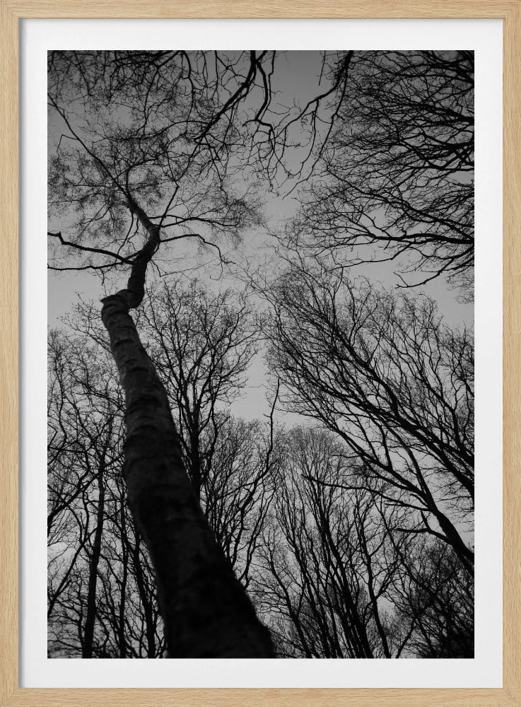 Winter&#039;s Reach | Poster