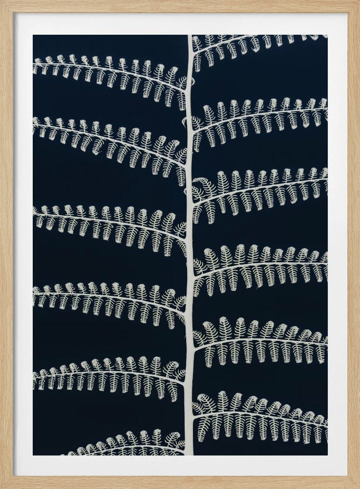 Fern Whispering | Poster