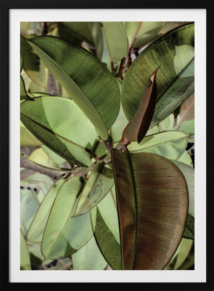 Leafy Dreamscape | Poster