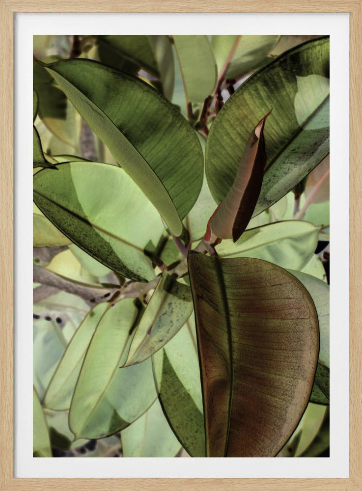 Leafy Dreamscape | Poster