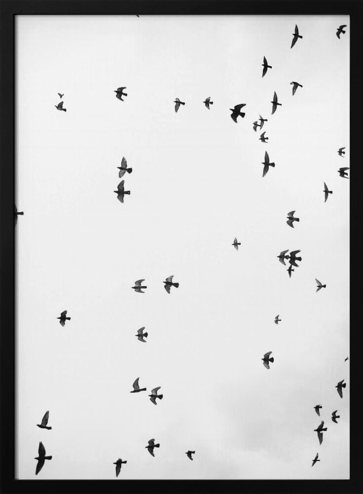 Flight in Silence | Poster