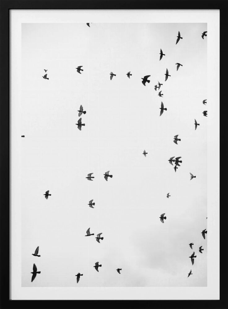 Flight in Silence | Poster