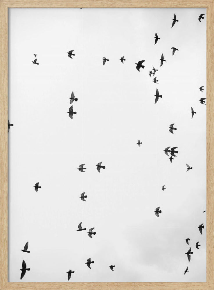 Flight in Silence | Poster