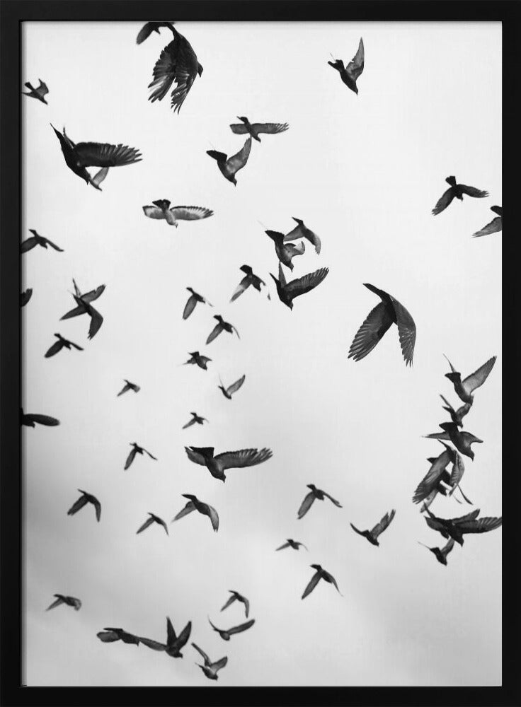 Skyward Symphony | Poster