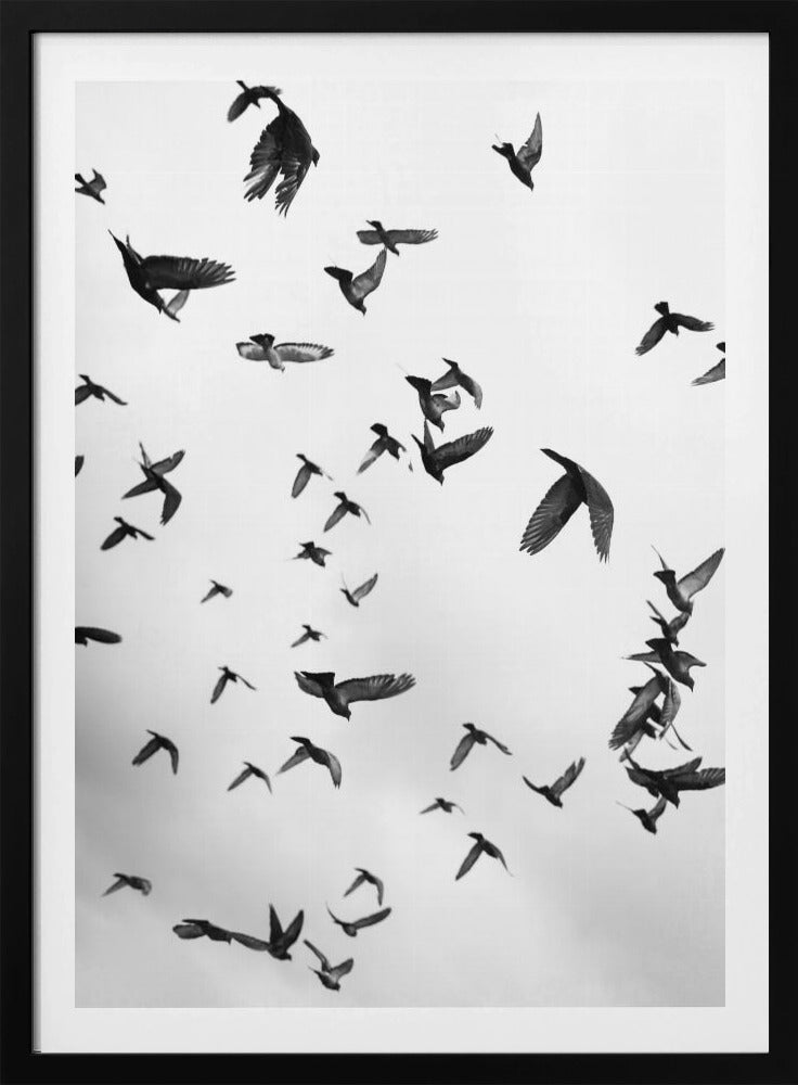 Skyward Symphony | Poster