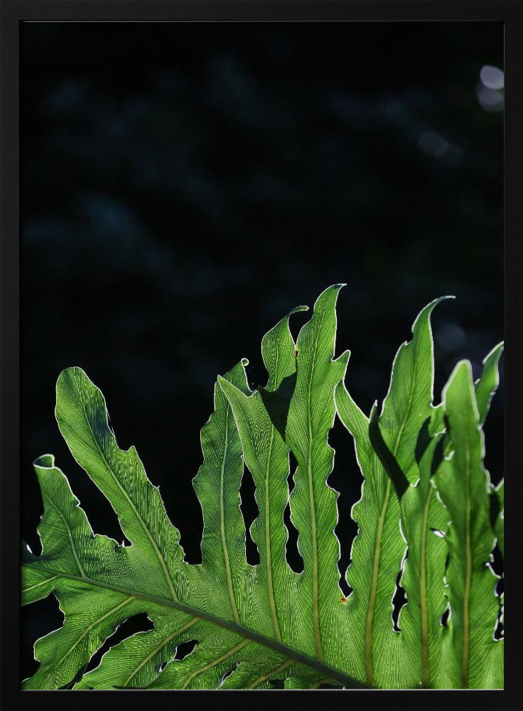 Emerald Radiance | Poster