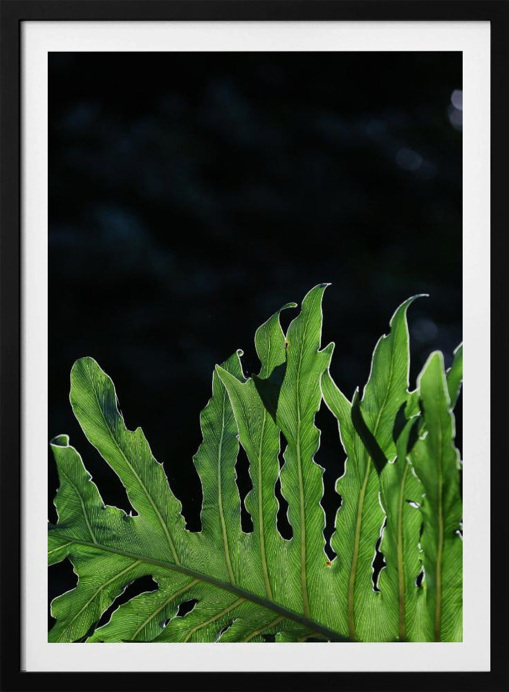 Emerald Radiance | Poster