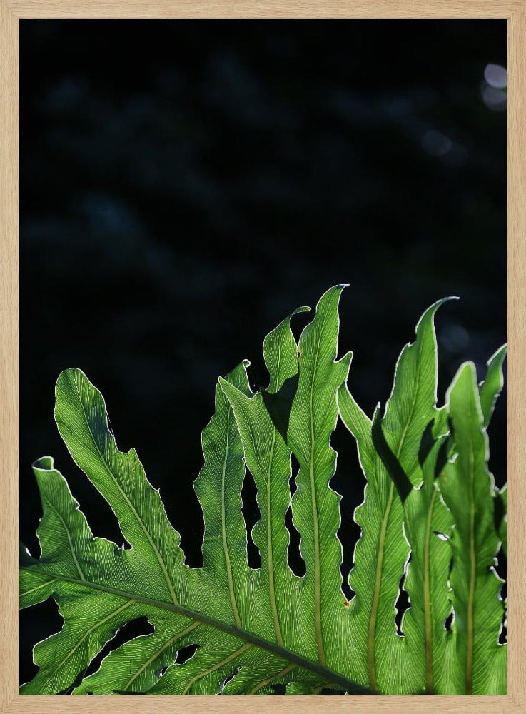 Emerald Radiance | Poster