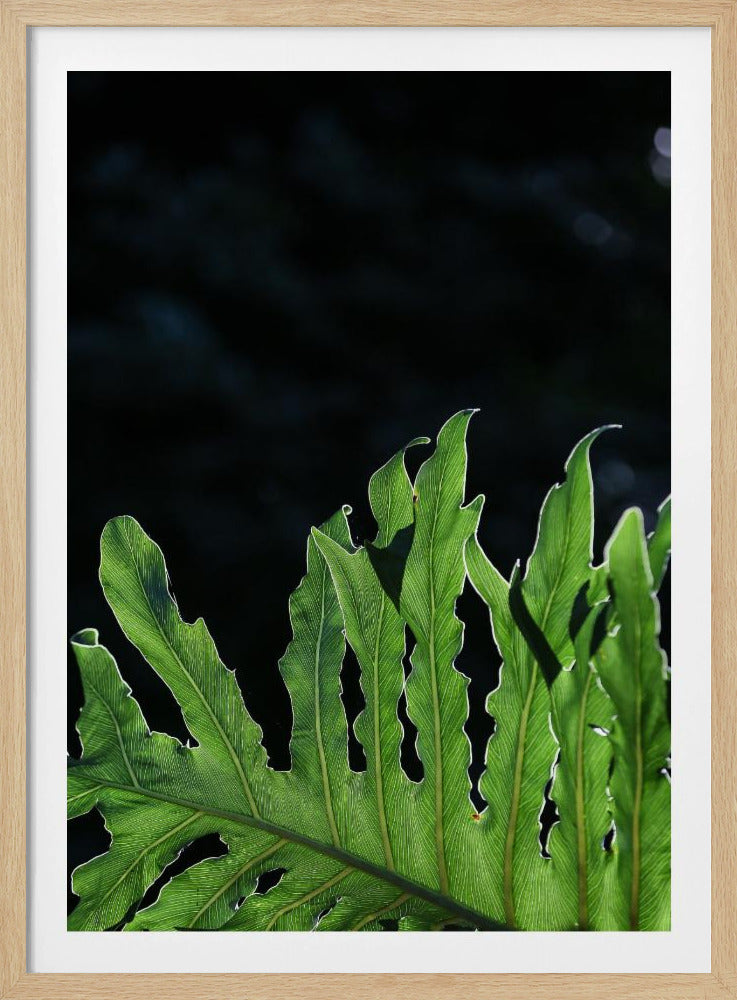 Emerald Radiance | Poster