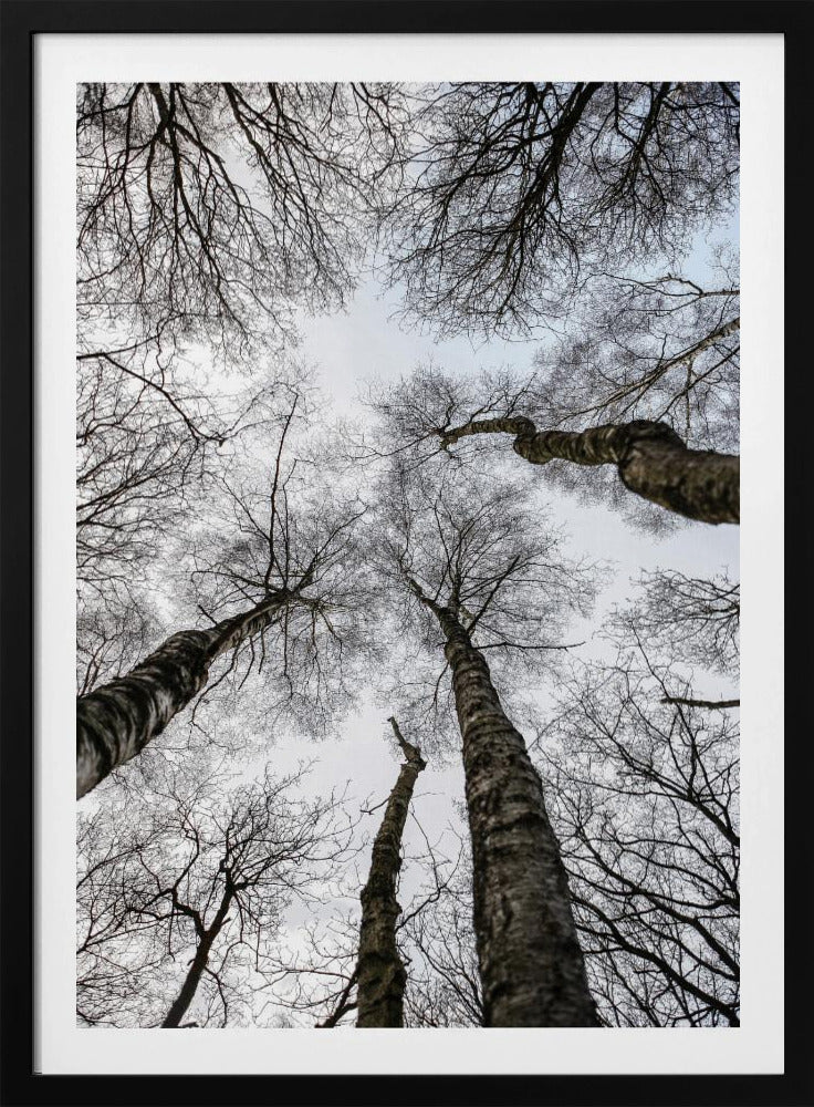 Winter&#039;s Embrace | Poster