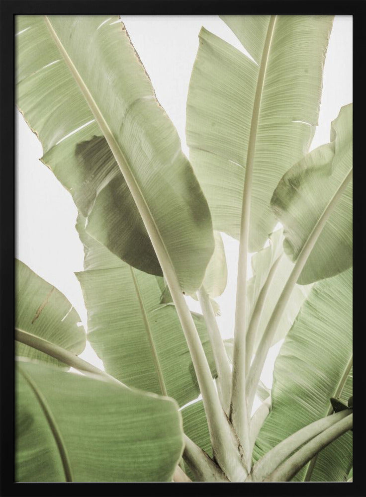 Verdant Leafscape | Poster