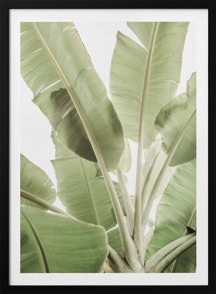 Verdant Leafscape | Poster