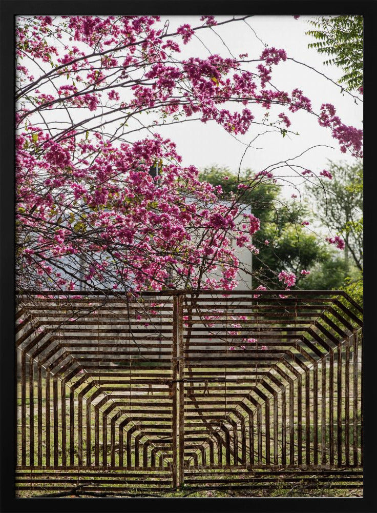 Blossoms Beyond Bars | Poster