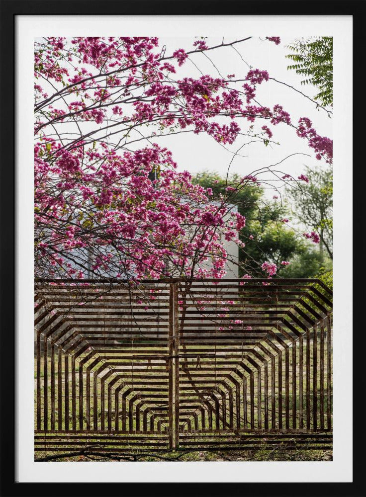 Blossoms Beyond Bars | Poster