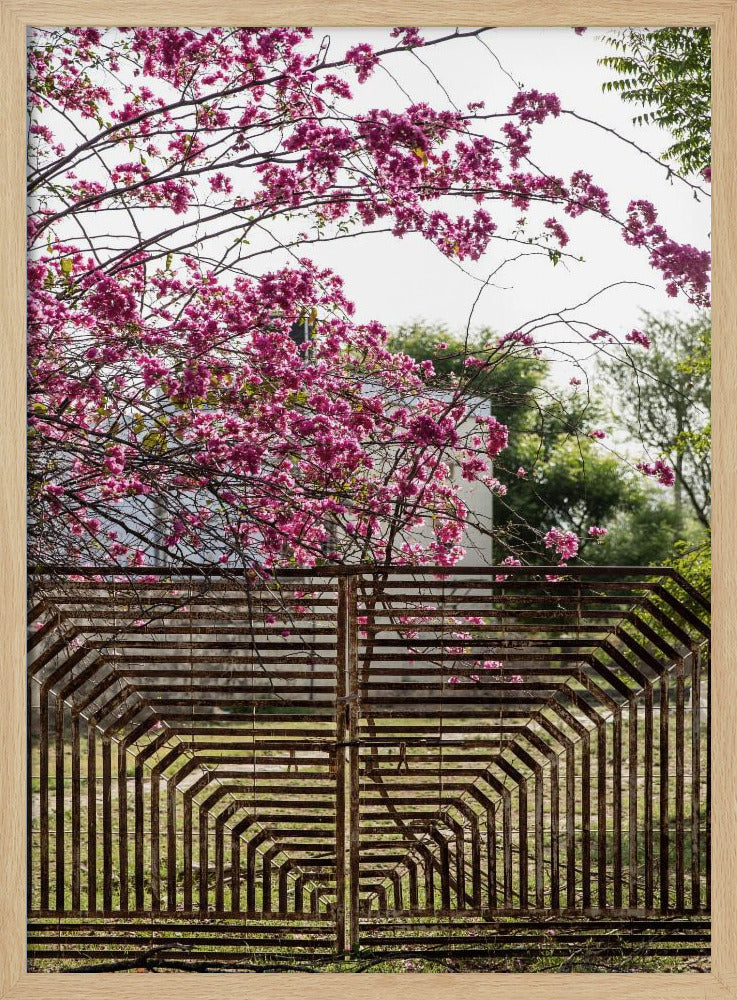 Blossoms Beyond Bars | Poster