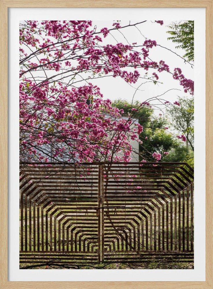 Blossoms Beyond Bars | Poster