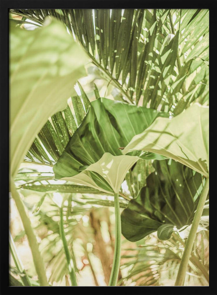 Sunlit Jungle Greens | Poster