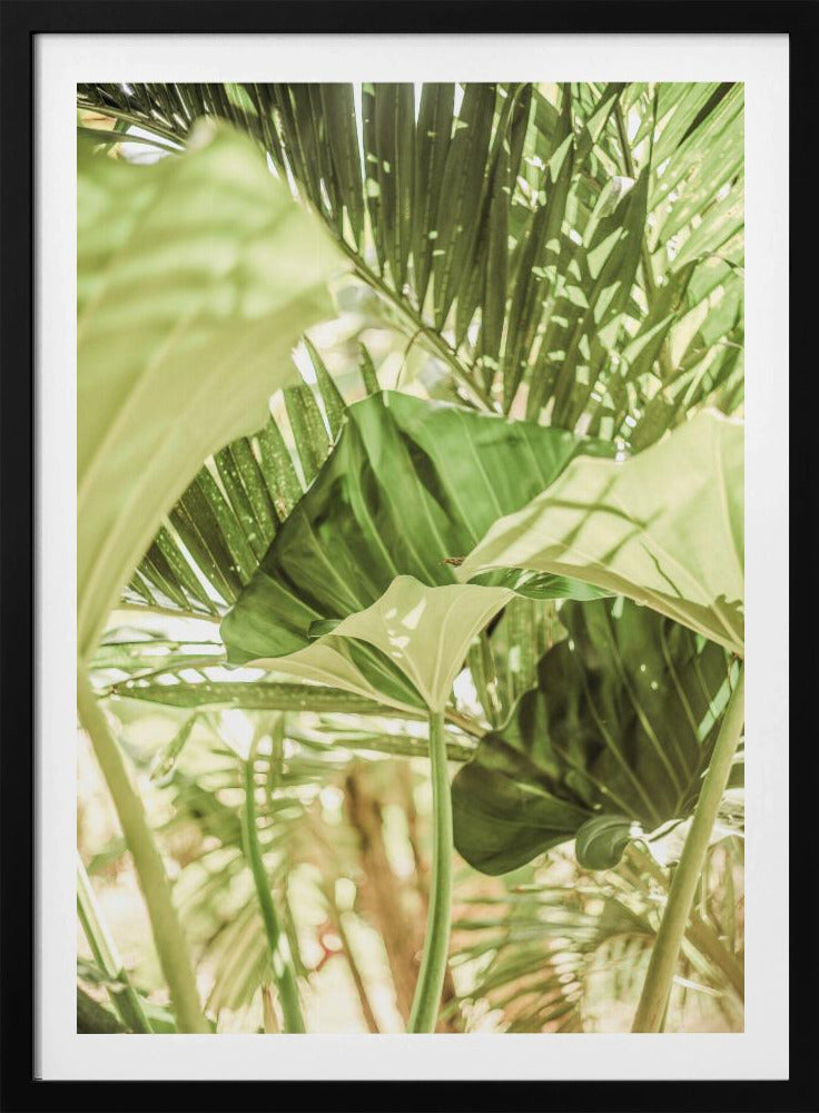 Sunlit Jungle Greens | Poster