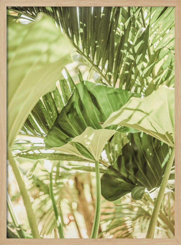 Sunlit Jungle Greens | Poster