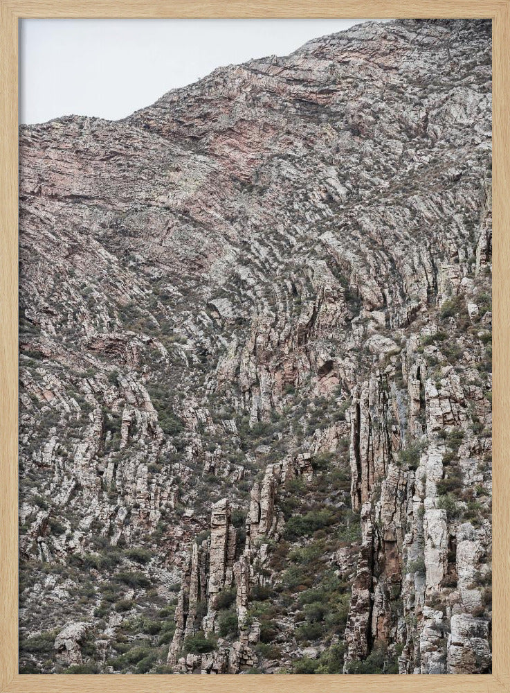 Textured Earthscape | Poster