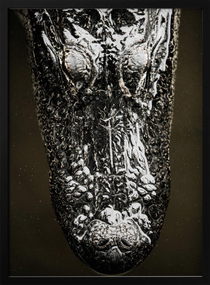 Glistening Apex | Poster