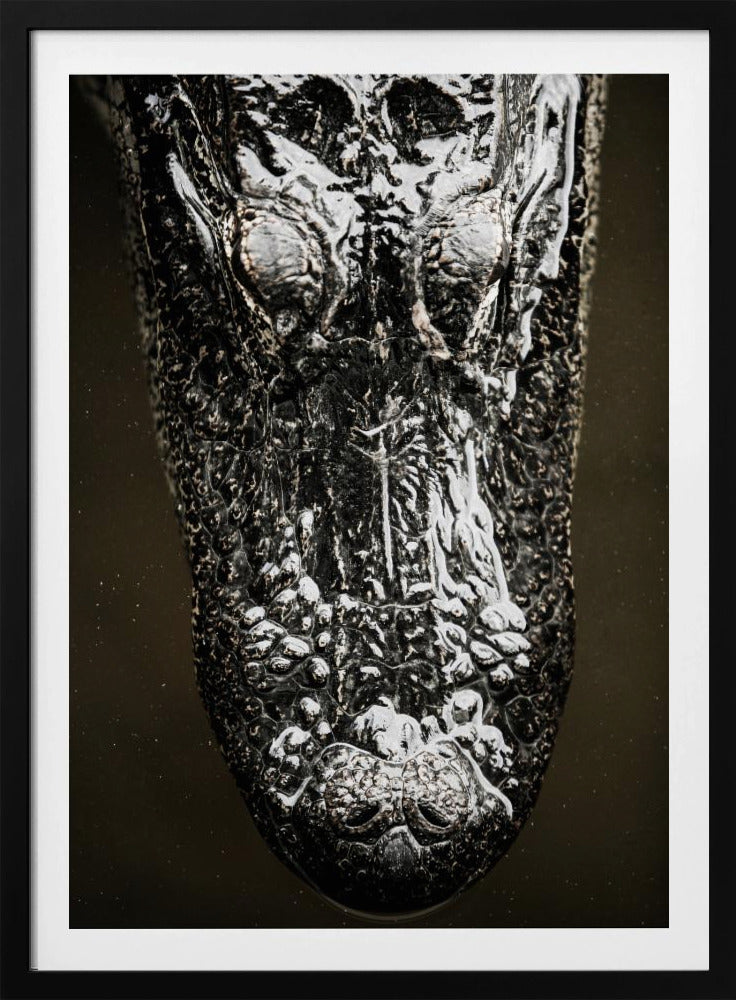 Glistening Apex | Poster