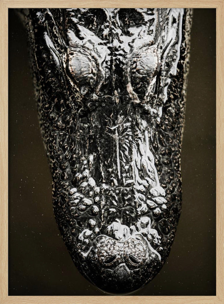 Glistening Apex | Poster