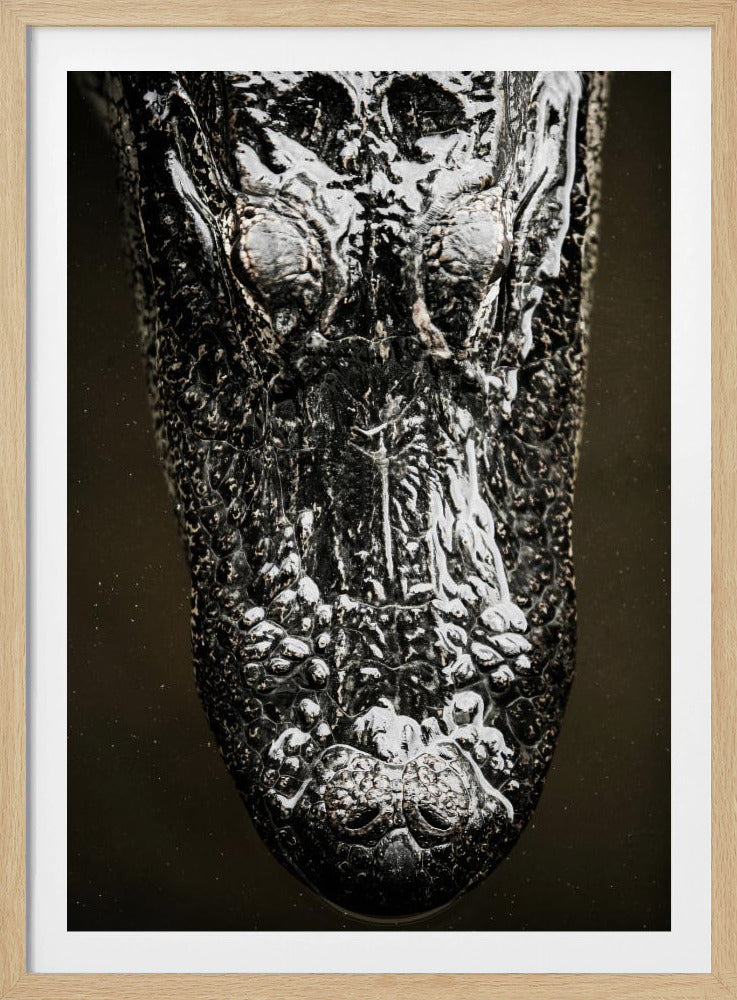 Glistening Apex | Poster