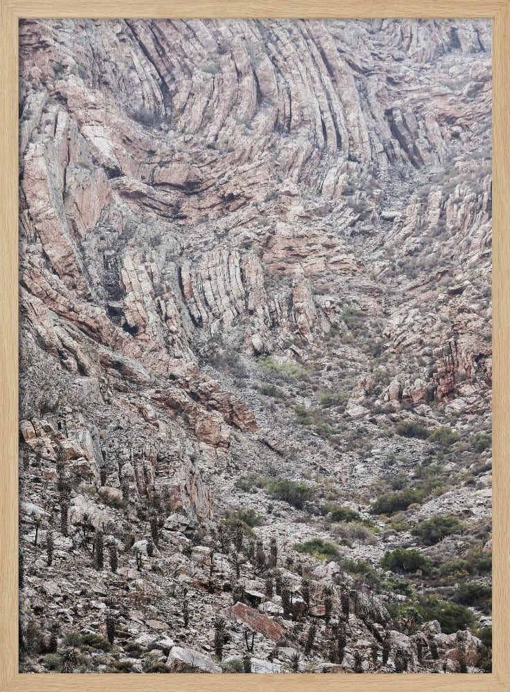 Canyon Whispers | Poster